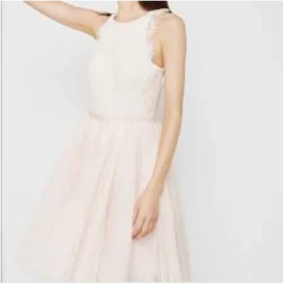 Ted Baker Pitara open back lace tulle dress light pink blush size 3 nwt - Picture 1 of 6